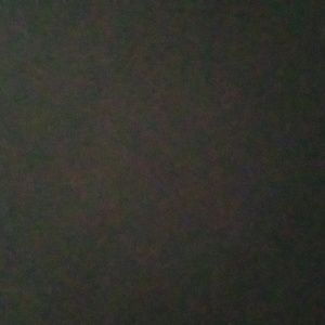 Meet your Posher, Marley